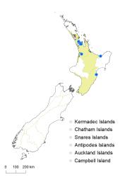 Sagittaria platyphylla distribution map based on databased records at AK, CHR, NZFRI, OTA, WAIK & WELT.
 Image: K.Boardman © Landcare Research 2020 CC BY 4.0